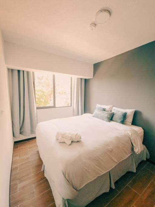 Entire Beautiful Condo With Rooftop Pool And Gym San Salvador Luaran gambar